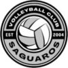 Arizona Saguaros Beach Volleyball Club logo