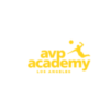AVP Academy logo