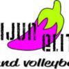 Cajun Elite Sand Volleyball Club logo