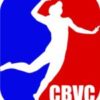 Champion Beach Volleyball logo