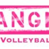 DANGER BVC logo