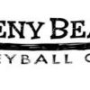 Doheny beach volleyball club logo