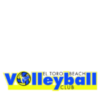 El Toro Beach Volleyball Club logo