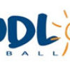 Sandlot Beach Volleyball Club logo