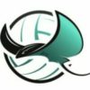 Stingray Volleyball Academy logo