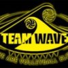 Team WAVE logo