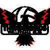 Thunderbirds Volleyball Club logo