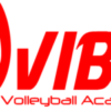 Vibe Volleyball Academy logo