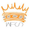 WFS Volleyball Inc logo